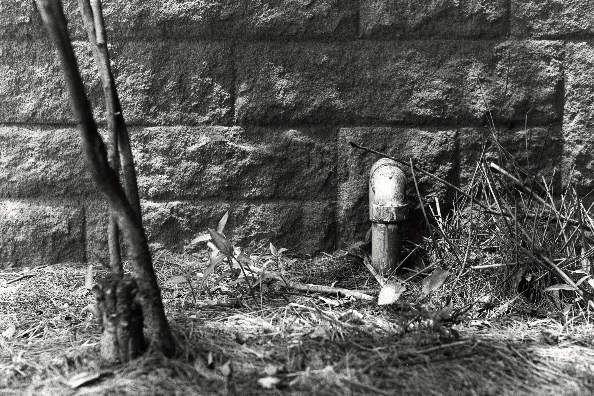 Leica M3